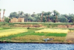 Egypt 1997-344a
